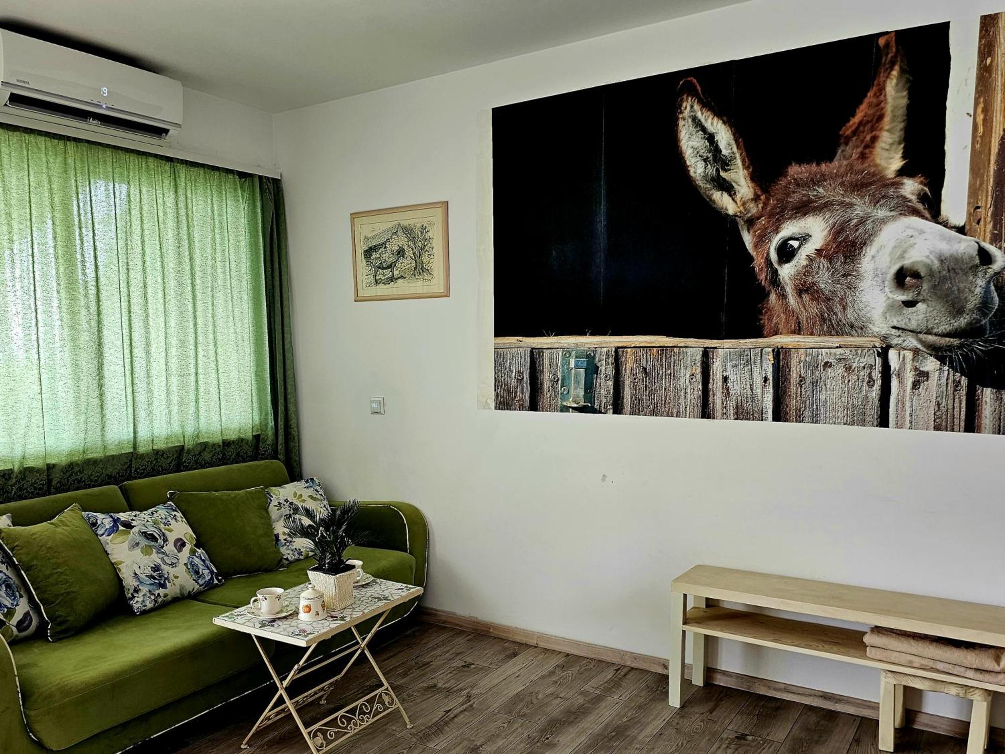 Apartment With A Magical View Σπλιτ Εξωτερικό φωτογραφία